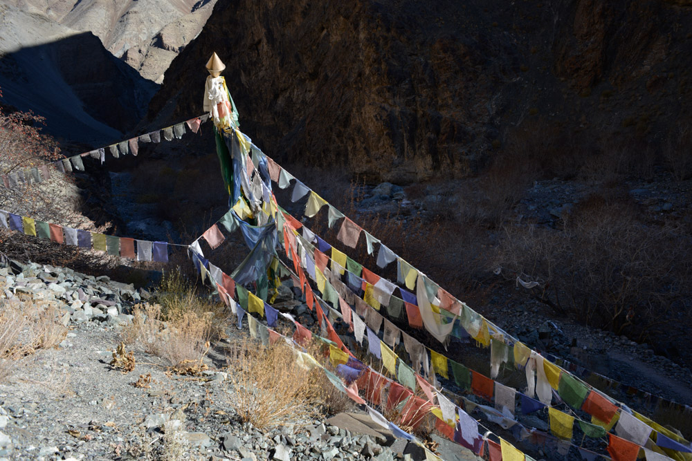 Ladakh_2015-209